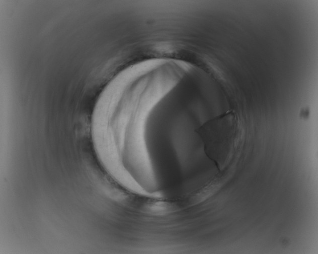 X0000110710467200907022027