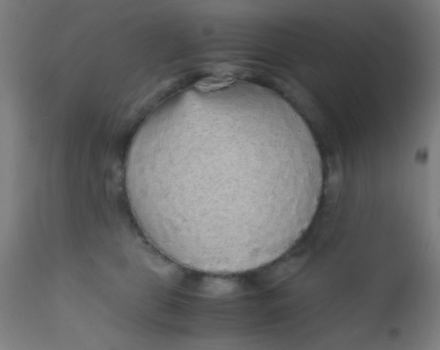 X0000110710469200907022027