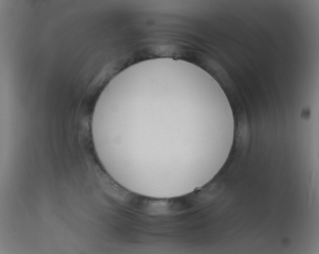 X0000110710473200907022027