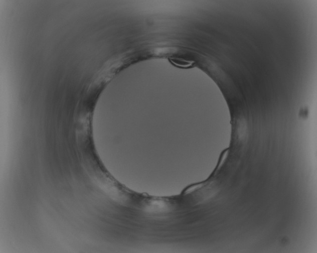 X0000110710475200907022027