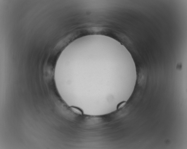 X0000110710476200907022027