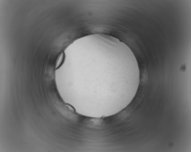 X0000110710478200907022027