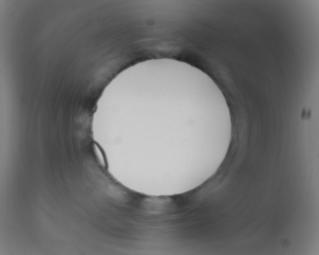 X0000110710480200907022027