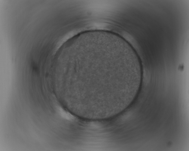 X0000110710481200907022027