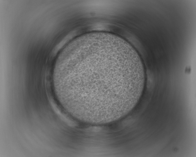 X0000110710482200907022026