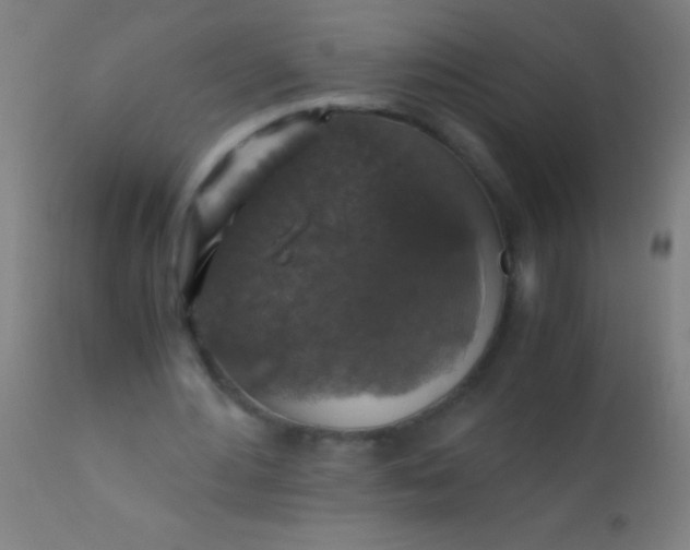 X0000110710484200907022026
