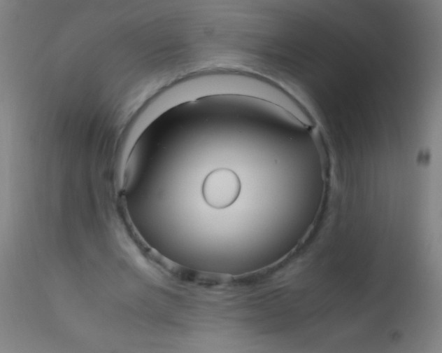 X0000110710485200907022026