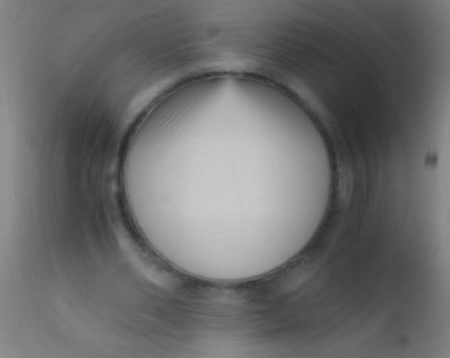 X0000110710486200907022026