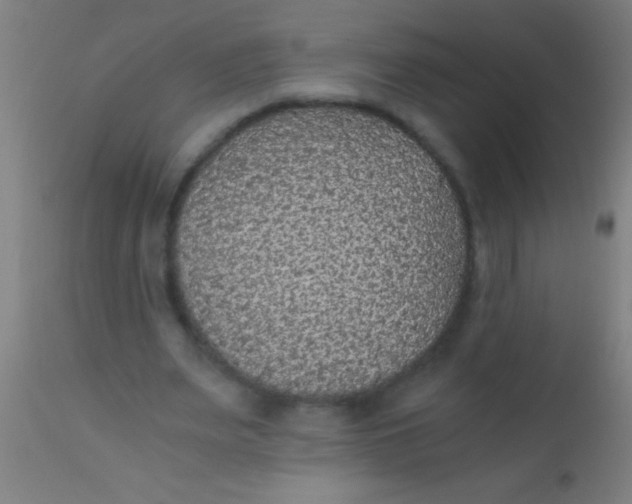 X0000110710487200907022026