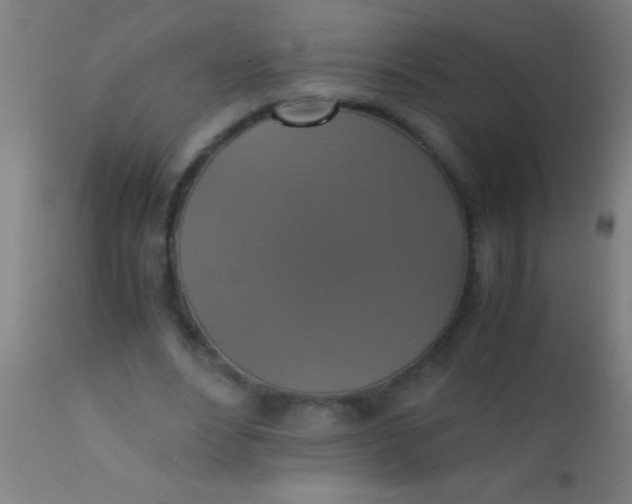 X0000110710488200907022026