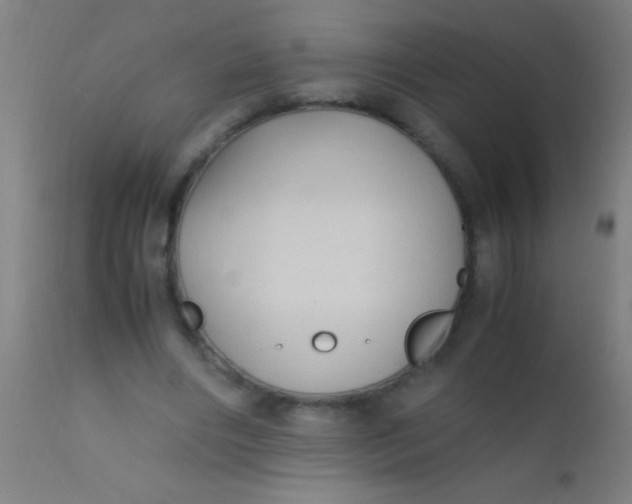 X0000110710490200907022026
