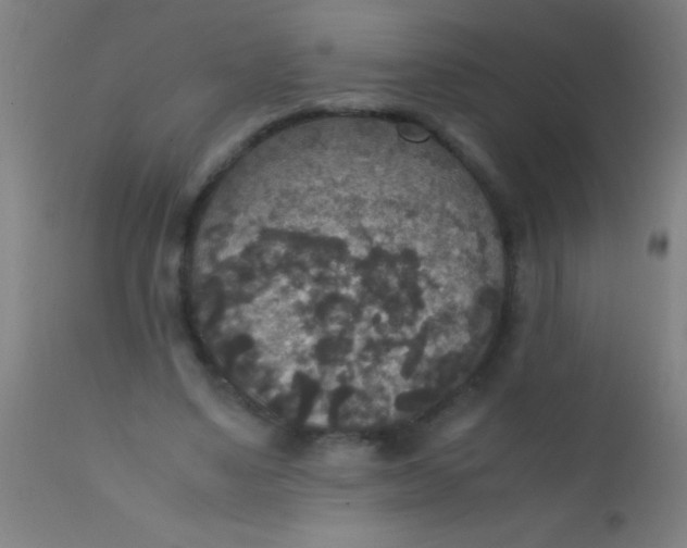 X0000110710491200907022026