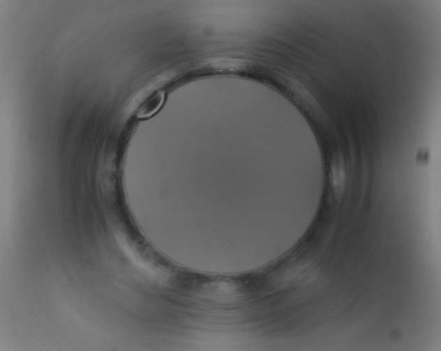 X0000110710492200907022026