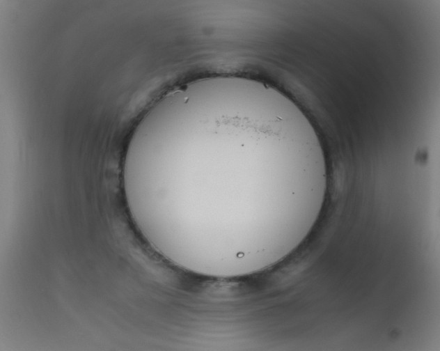 X0000110710497200907022026