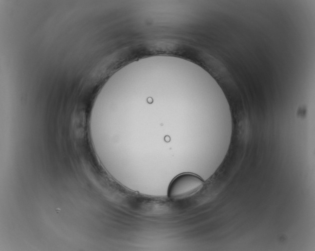 X0000110710498200907022026