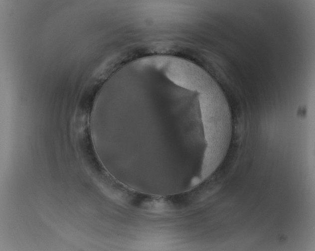X0000110710503200907022026