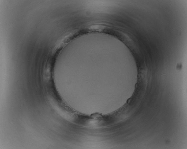 X0000110710504200907022026