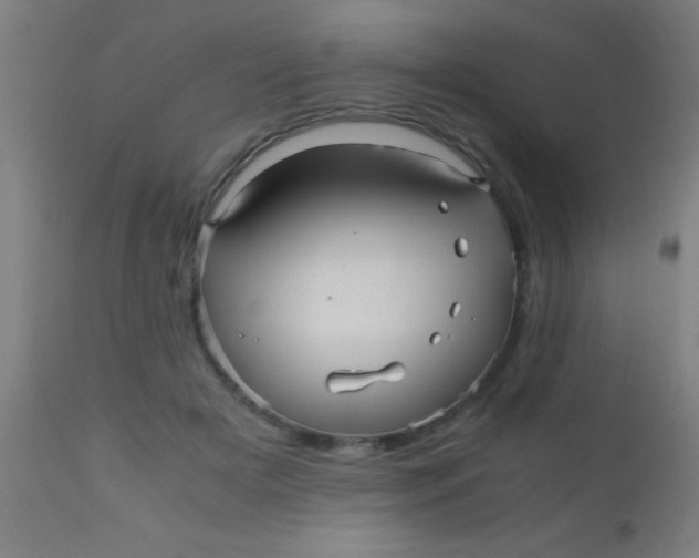 X0000110710505200907022026