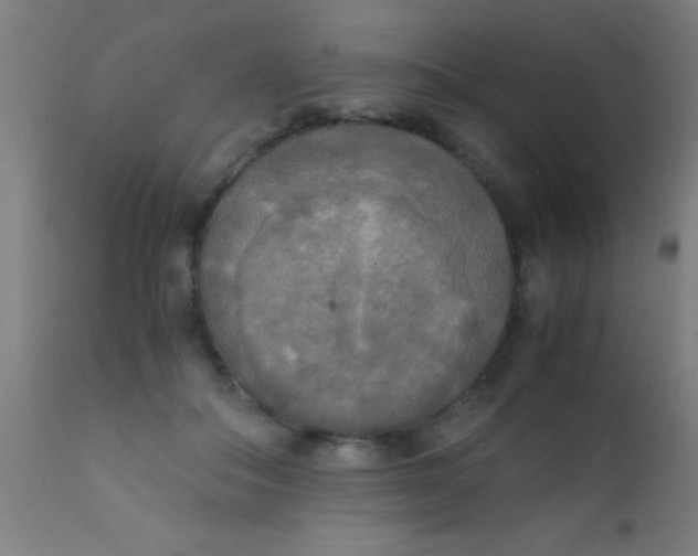 X0000110710506200907022026