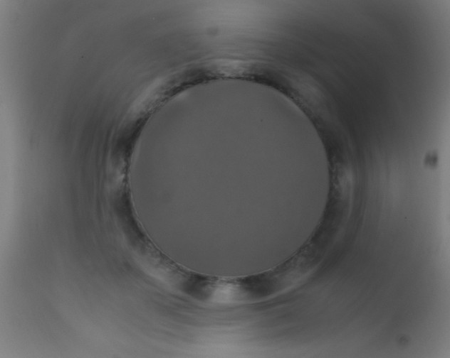 X0000110710507200907022026