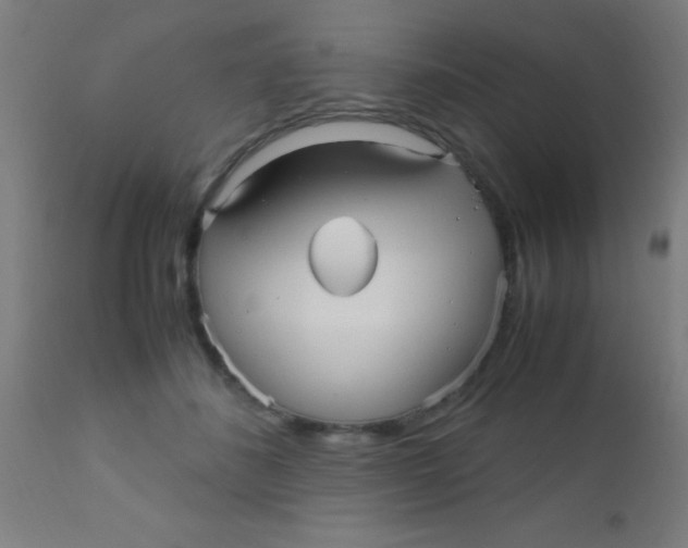 X0000110710508200907022026