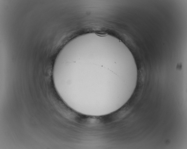 X0000110710509200907022026
