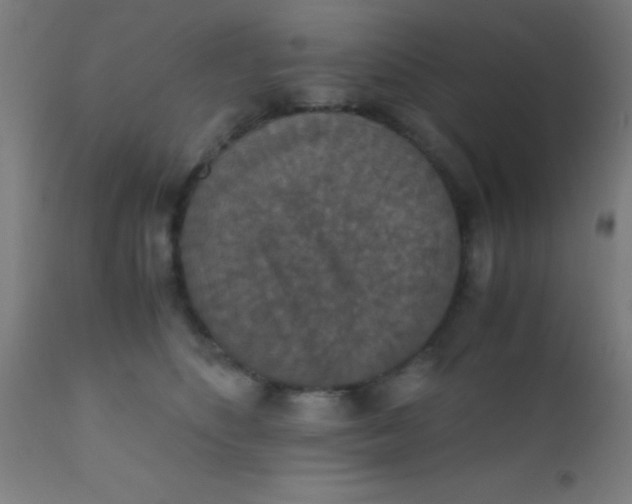 X0000110710516200907022026