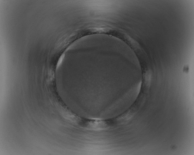 X0000110710517200907022026