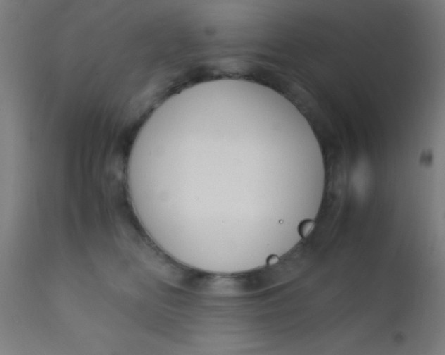 X0000110710518200907022026