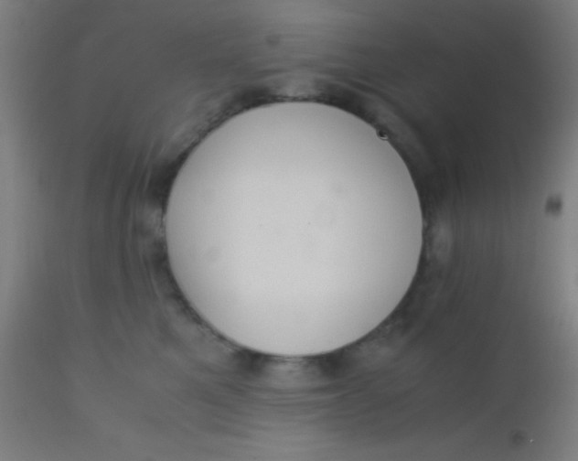 X0000110710521200907022026