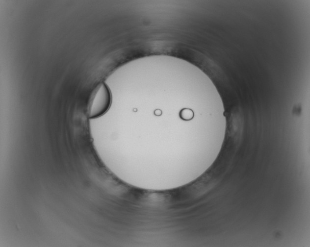 X0000110710522200907022026