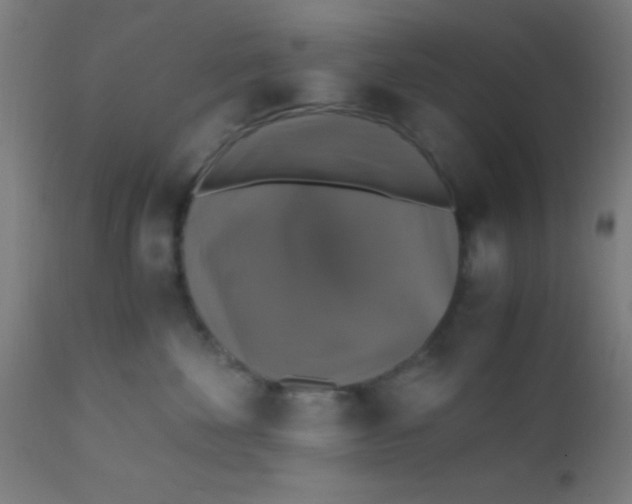 X0000110710524200907022026