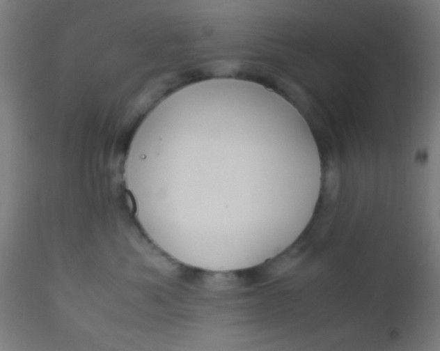 X0000110710525200907022026