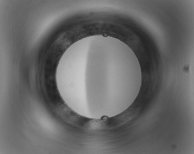 X0000110710526200907022026