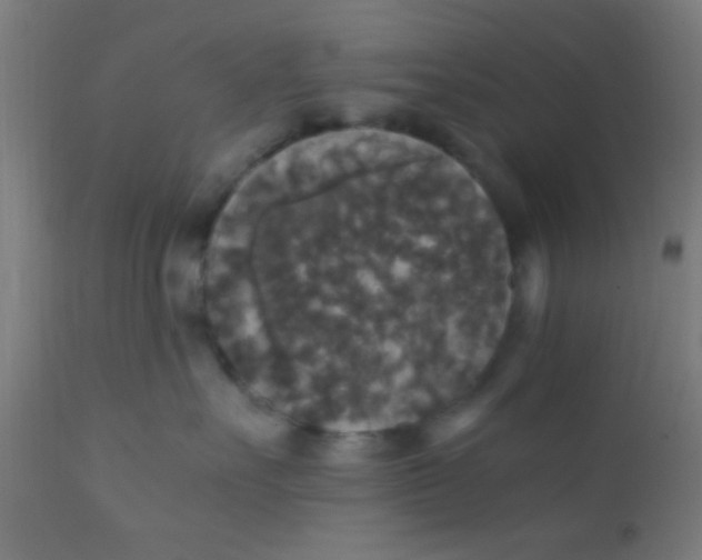 X0000110710527200907022026