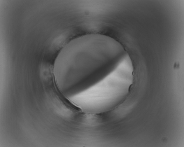 X0000110710528200907022026