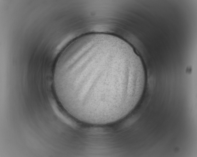 X0000110710530200907022025