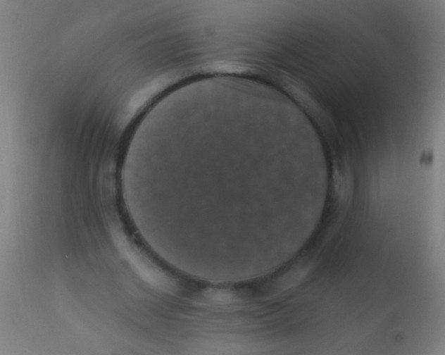 X0000110710534200907022025
