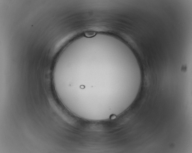 X0000110710535200907022025