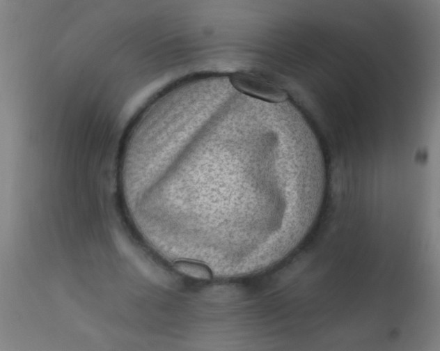 X0000110710536200907022025