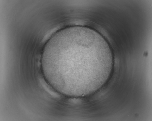 X0000110710537200907022025