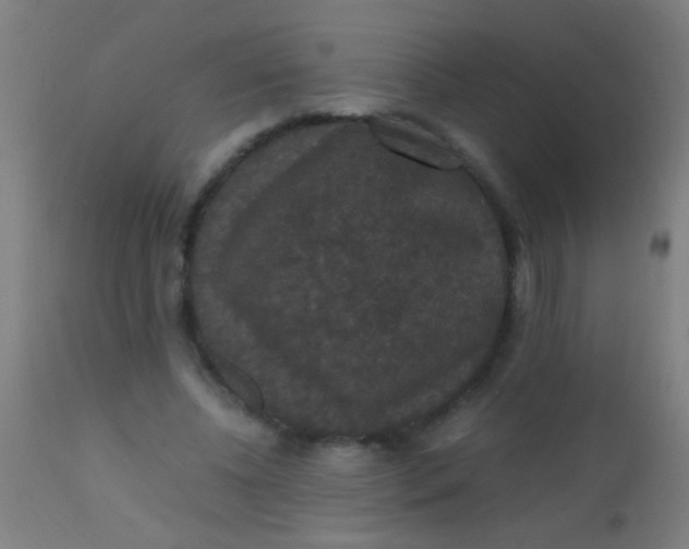 X0000110710540200907022025