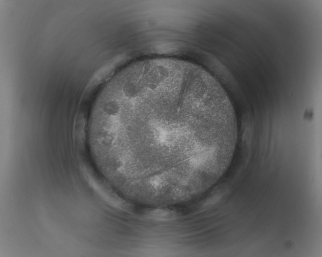 X0000110710542200907022025
