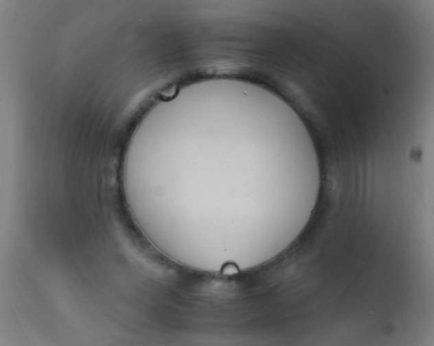 X0000110710543200907022025