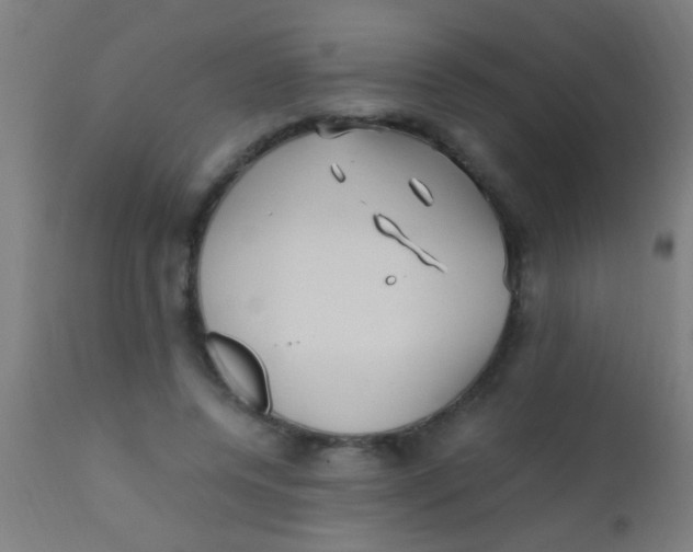 X0000110710544200907022025