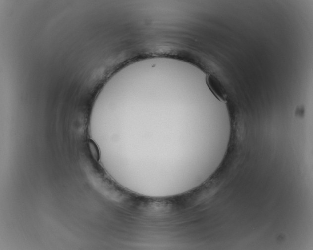 X0000110710546200907022025