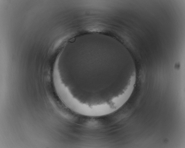 X0000110710547200907022025
