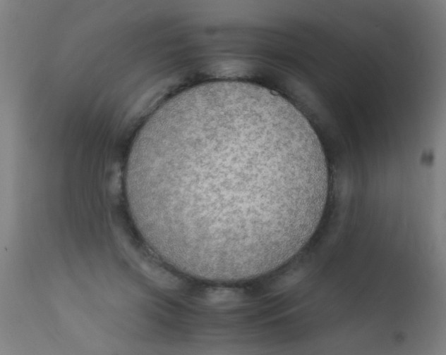 X0000110710549200907022025