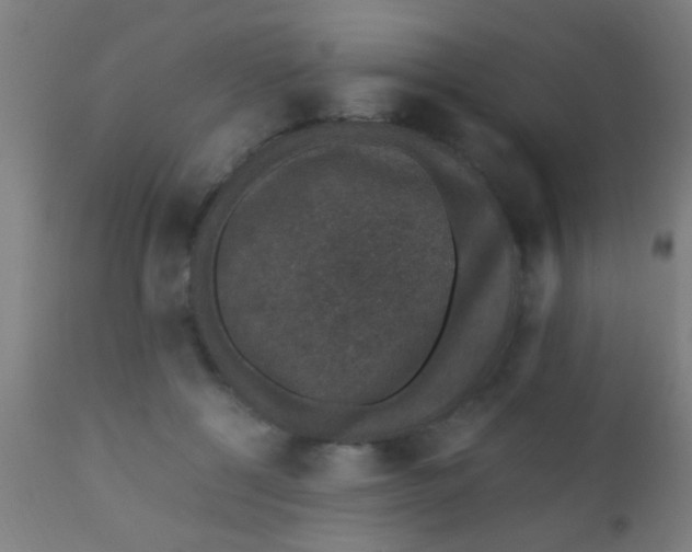 X0000110710552200907022026