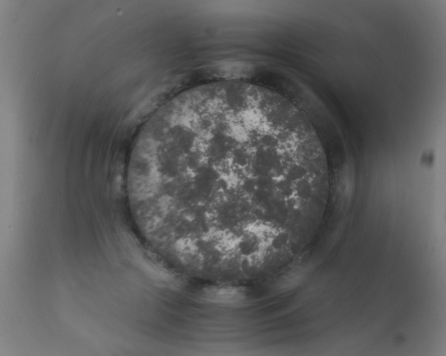 X0000110710553200907022026